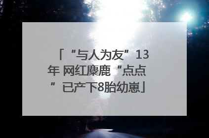 “与人为友”13年 网红麋鹿“点点”已产下8胎幼崽